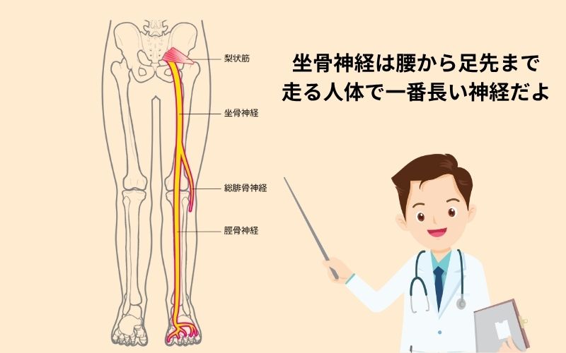 坐骨神経痛